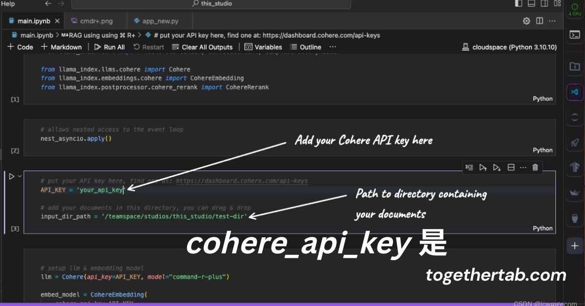 cohere_api_key 是